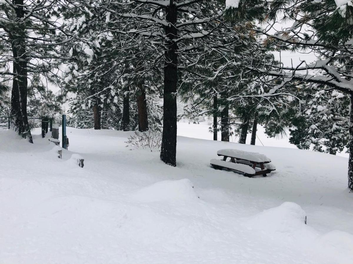 Mountain View Cabins Райтвуд Экстерьер фото